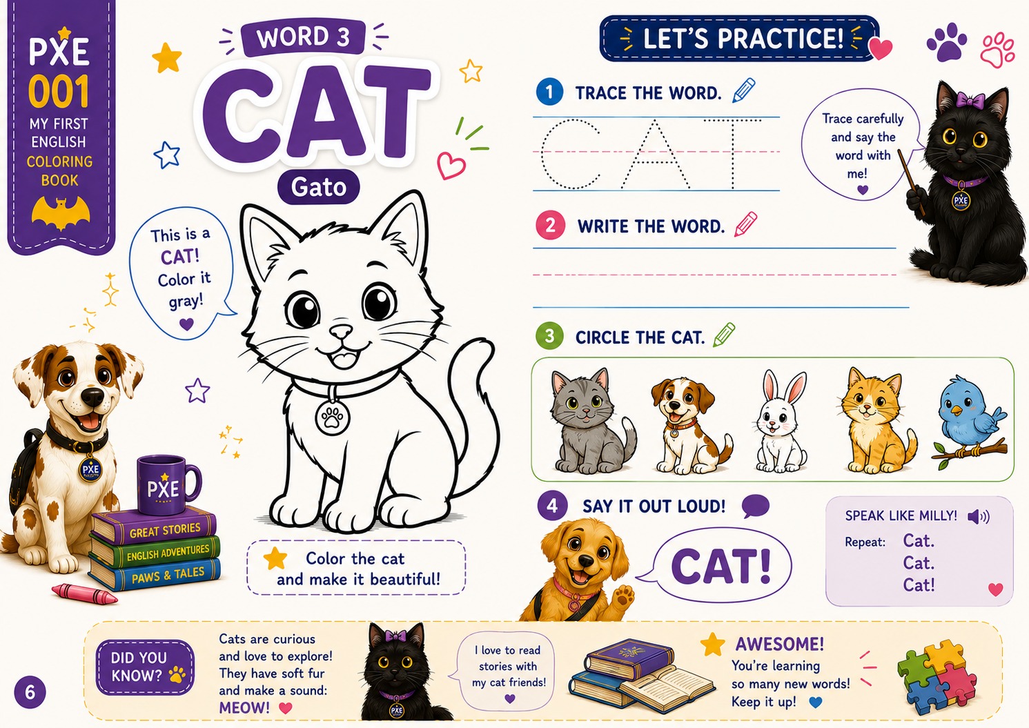 PXE 001 - Word 3: Cat