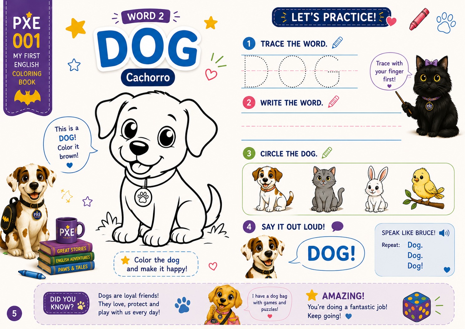 PXE 001 - Word 2: Dog