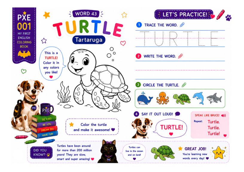 PXE 002 - Word 43: Turtle